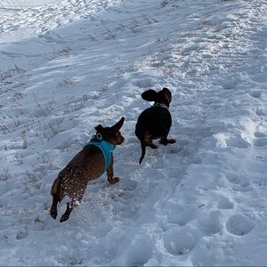 Meet your Posher, Jada